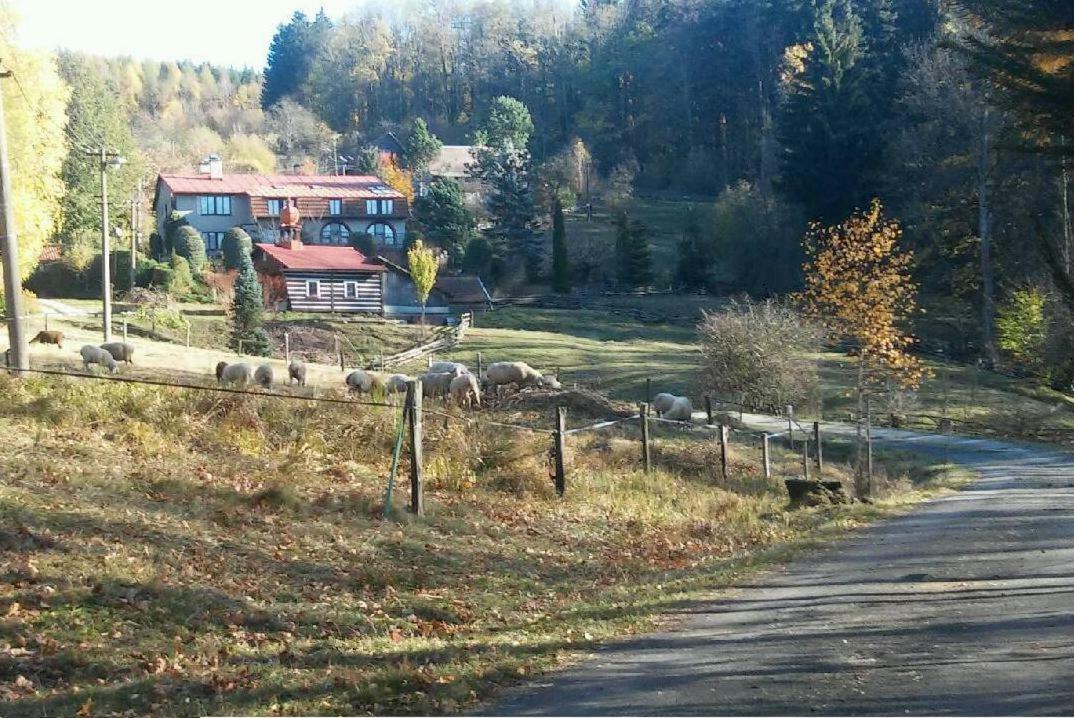 Apartmány Šedek Roprachtice Esterno foto